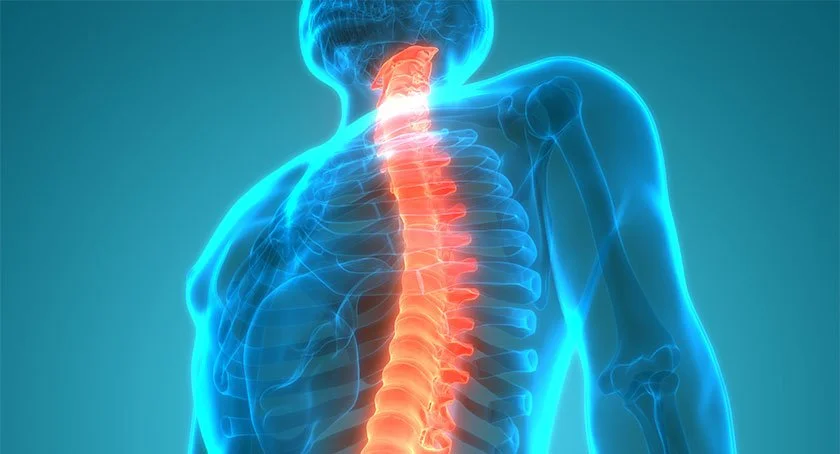 Spine & Biologics